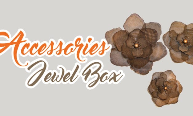 Accessories Jewel Box