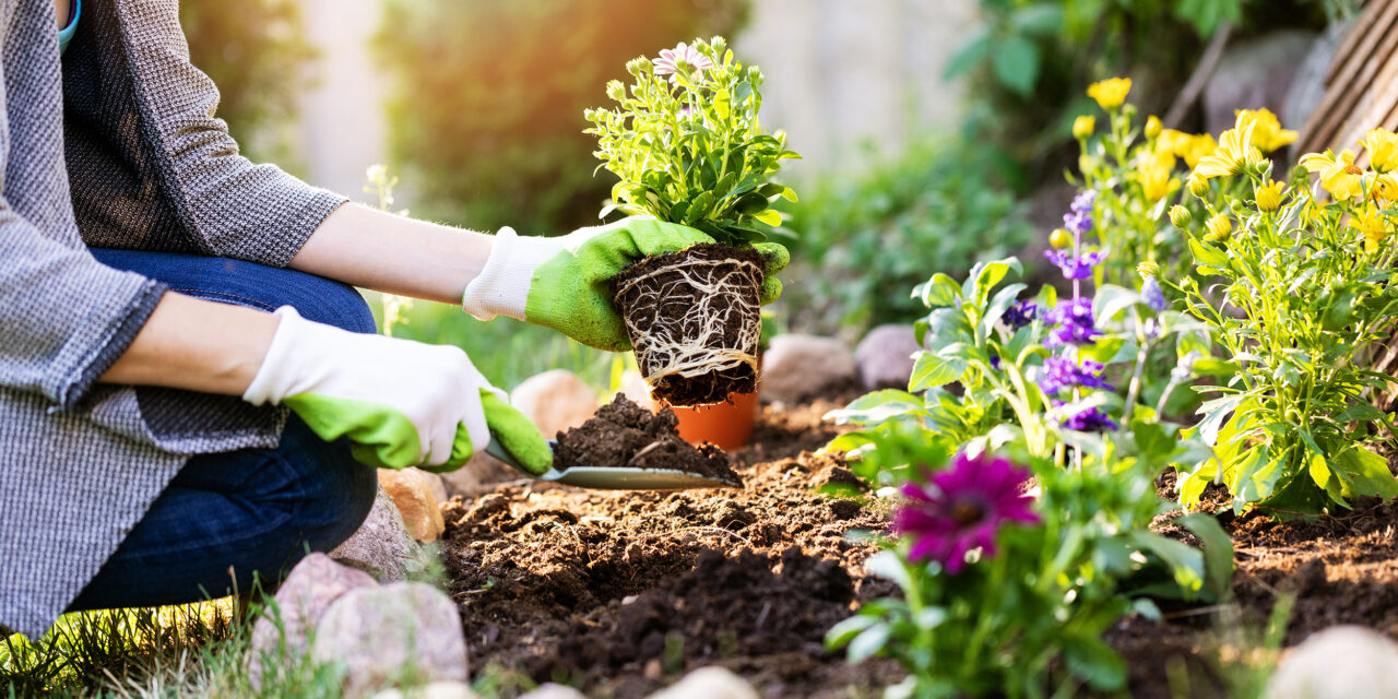 Start Your Garden Right! 5 Tips for Beginners